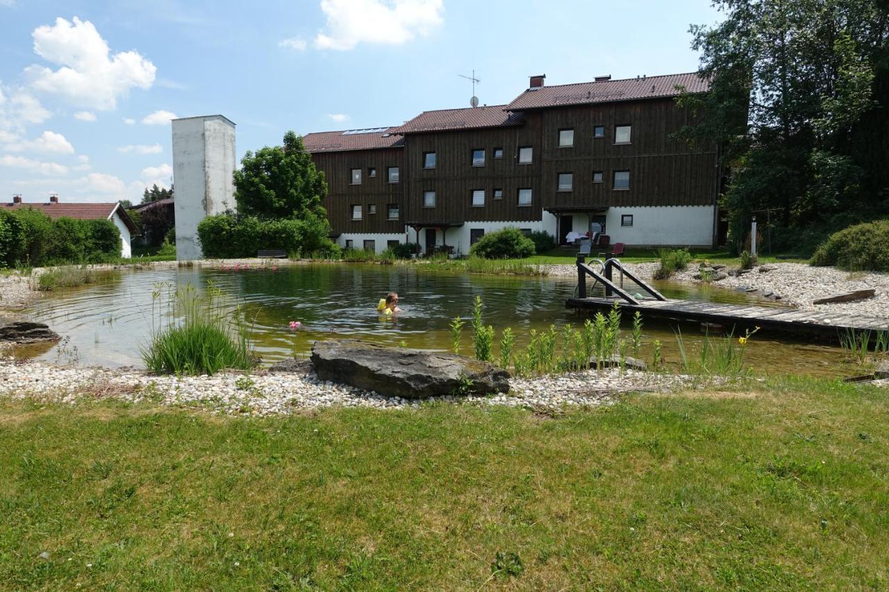 Am Hermannsbachl Bischofsmais Extérieur photo