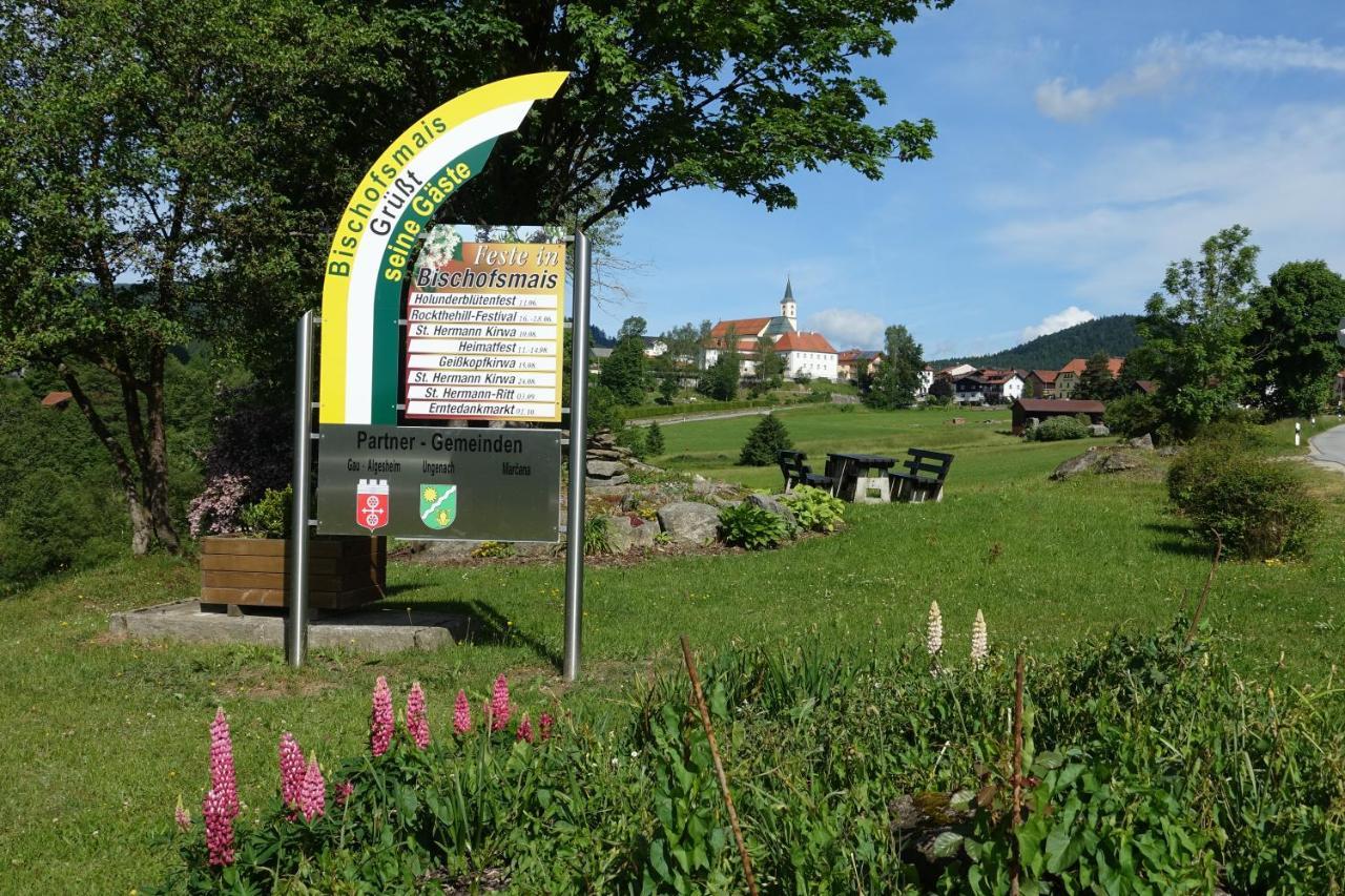 Am Hermannsbachl Bischofsmais Extérieur photo
