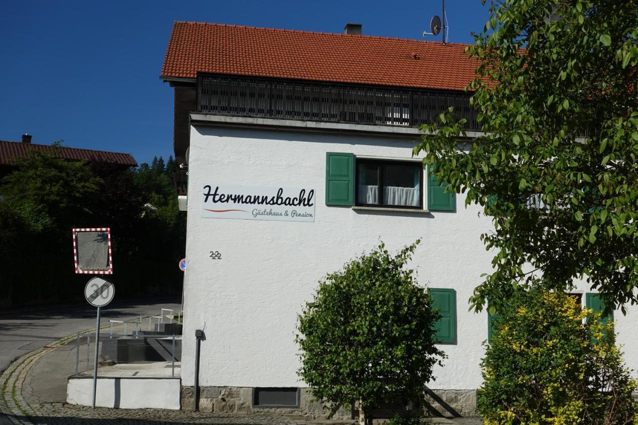 Am Hermannsbachl Bischofsmais Extérieur photo