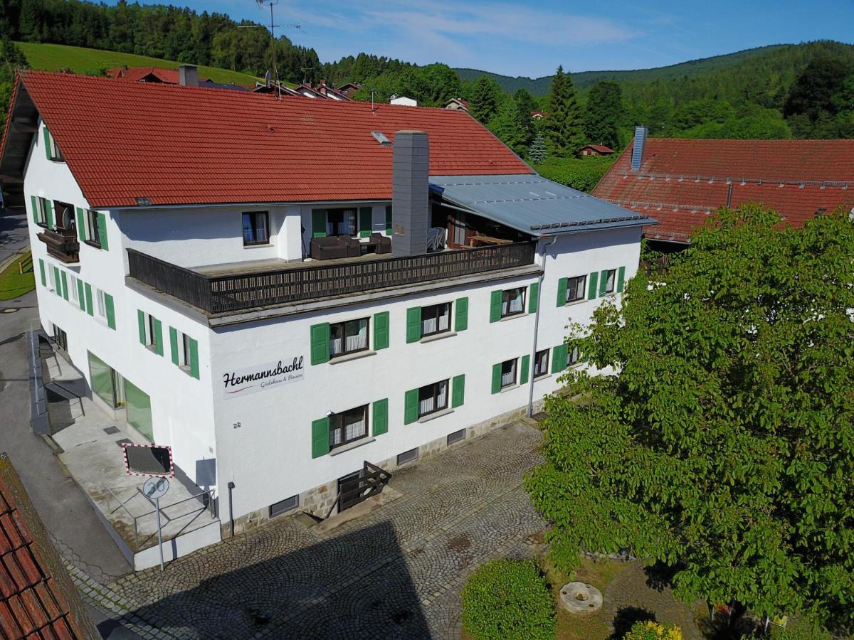 Am Hermannsbachl Bischofsmais Extérieur photo